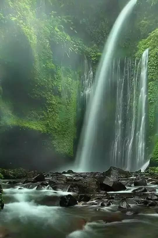 蓝狐视频