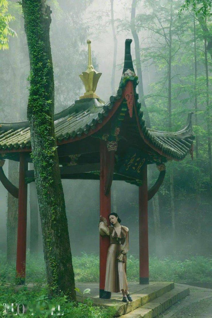 线上OSSD课程全是雷点？被压分？那是因为你没选好学校！