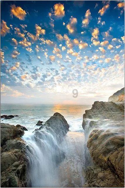 88影视