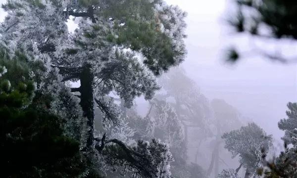 88影视