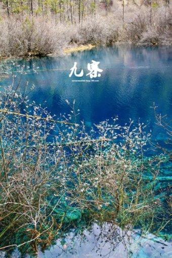 小猫钓鱼开船版最新版下载