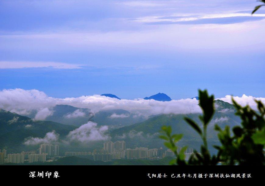 燃烧吧大脑装瓶子游戏