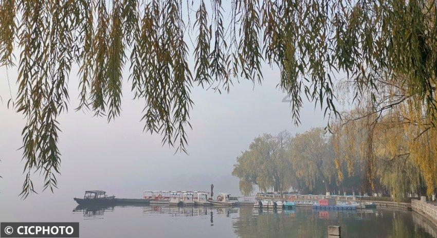 我国又一“钱学森”归国，顶尖科学家弃美回国，美专家：亏大了