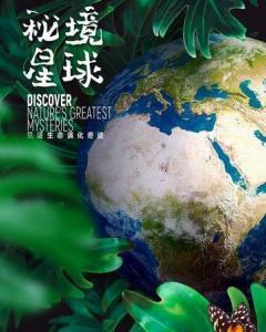 药瓶是怎样激光打码的_药瓶打码机
