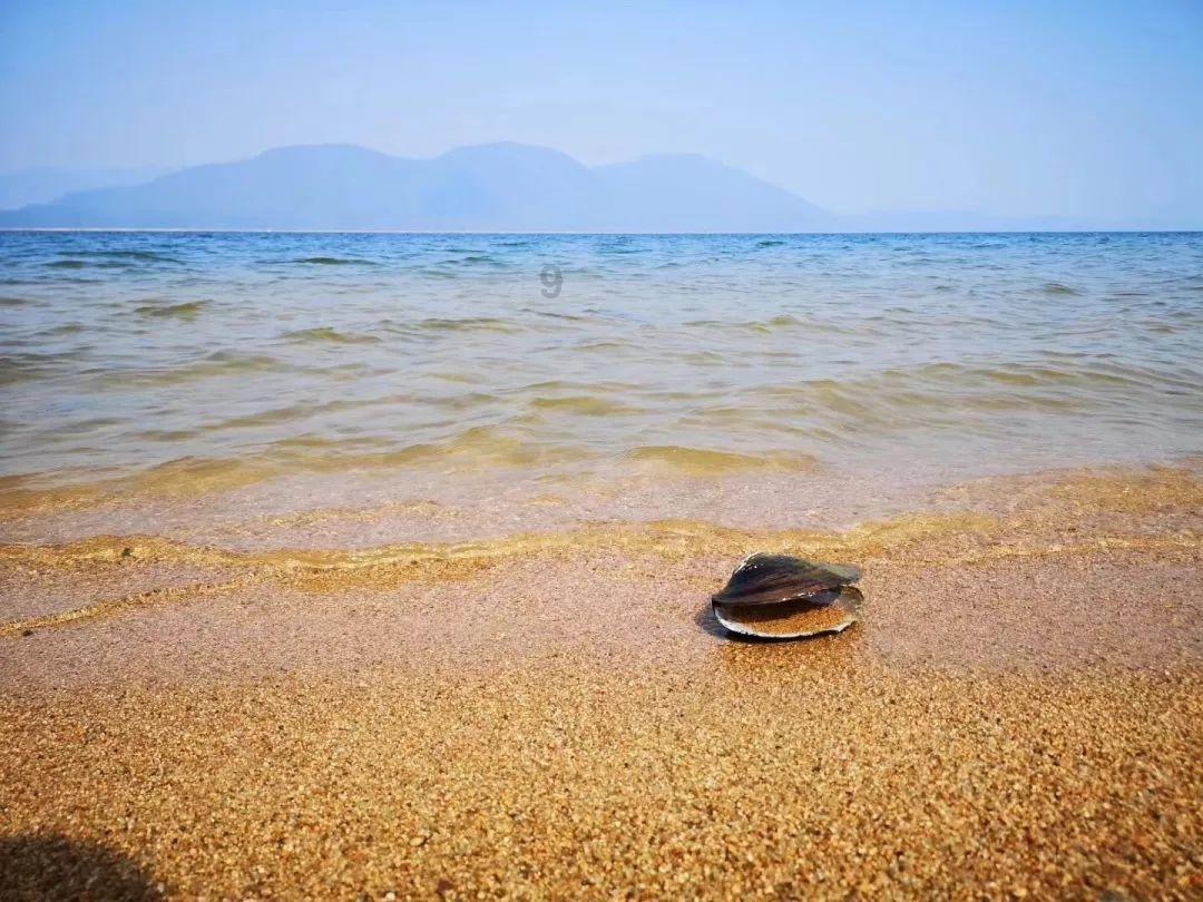 海南五指山牙胡梯田春耕忙