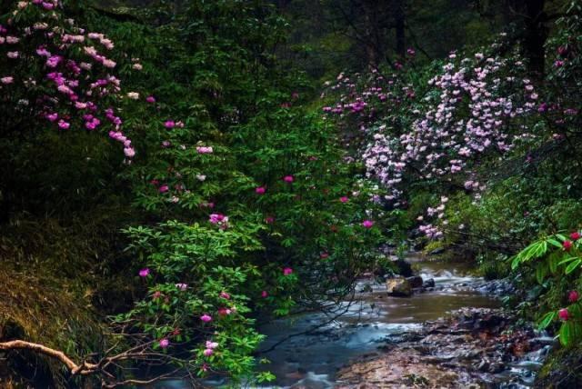 泰山队烫手山芋终于出手了,收到250万欧元转会费,崔康熙迎利好