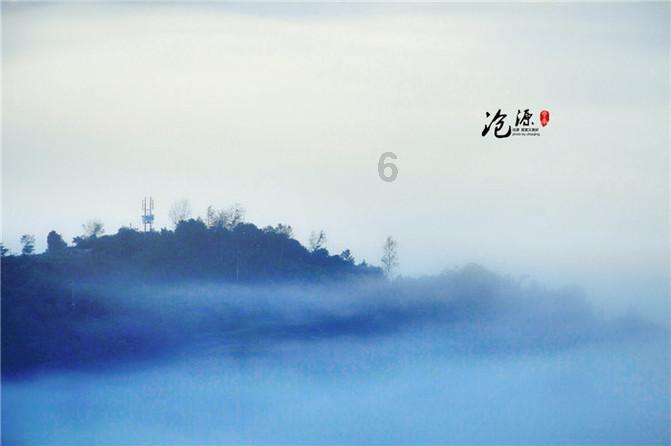 动物帮帮忙保卫家园