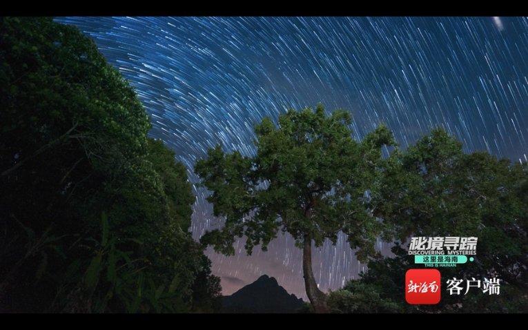 嘉日单词