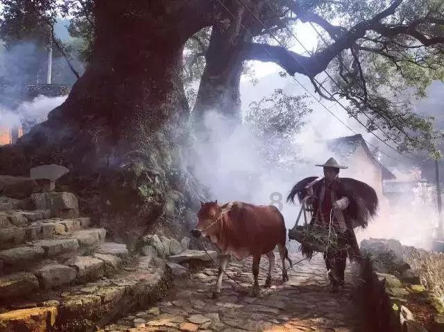 小球进黑洞