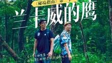 灌篮小高手