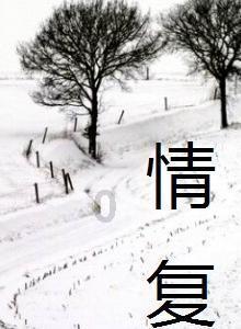 创作猫