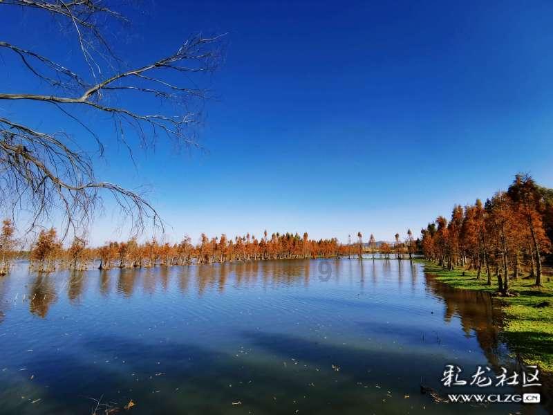 这5个让脾胃变弱的坏习惯,你可能每天都在做