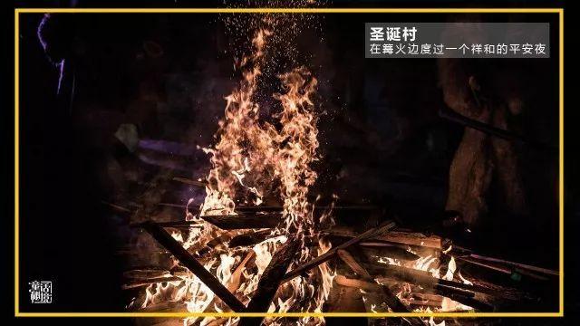 寻找火鸡