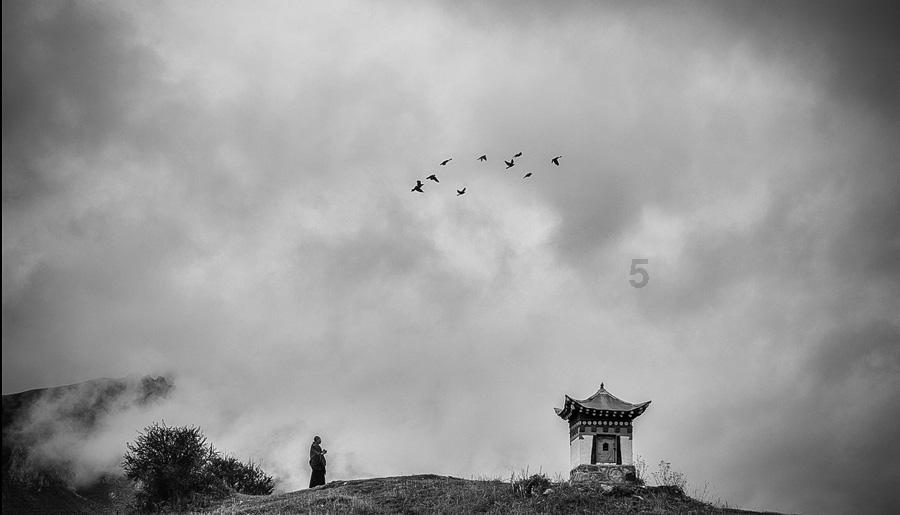 walnutduck是小黄鸭的吗游戏画面