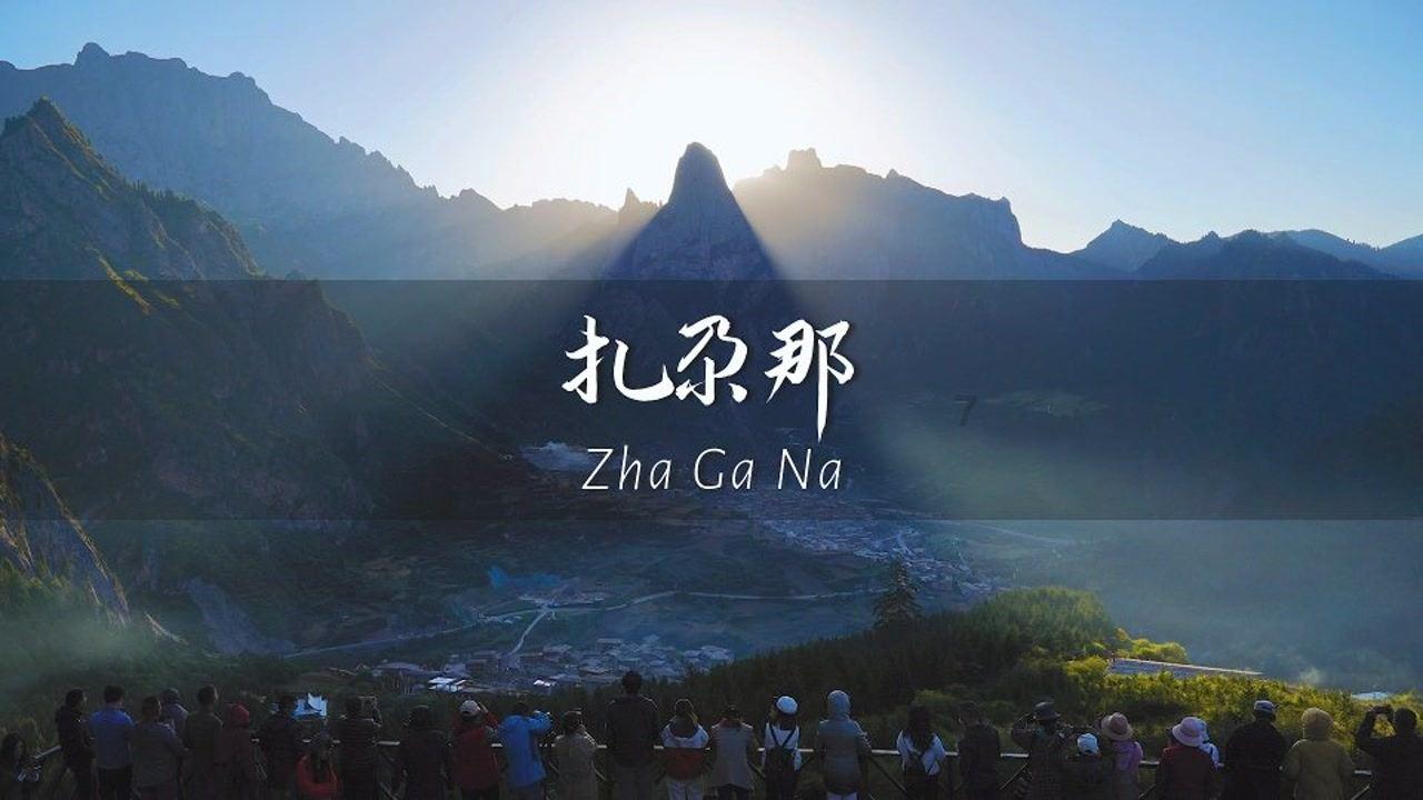 春雨直播app