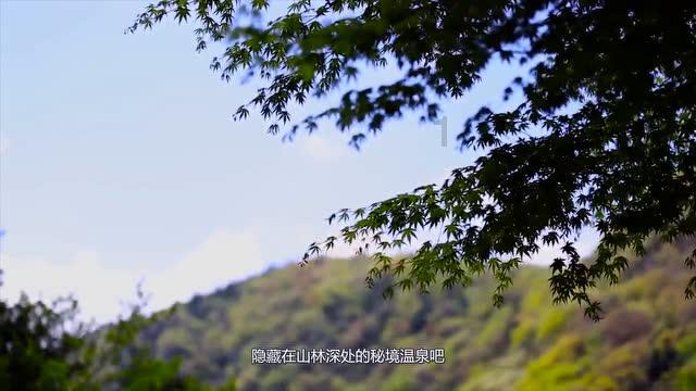 次元喵