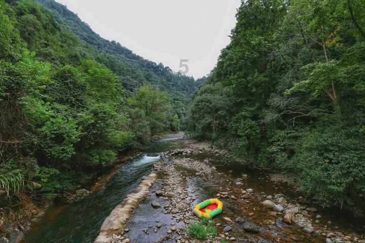 王傲世的梦