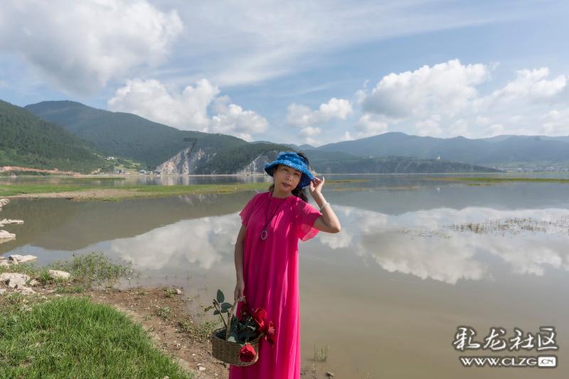 奔跑的兔子