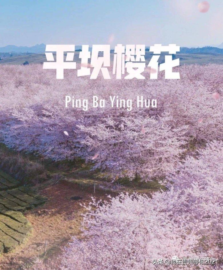 拯救落难小鸟