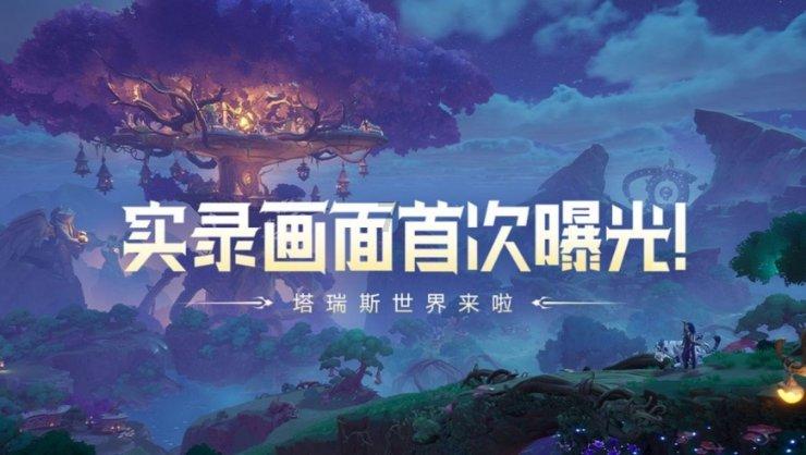 创作猫