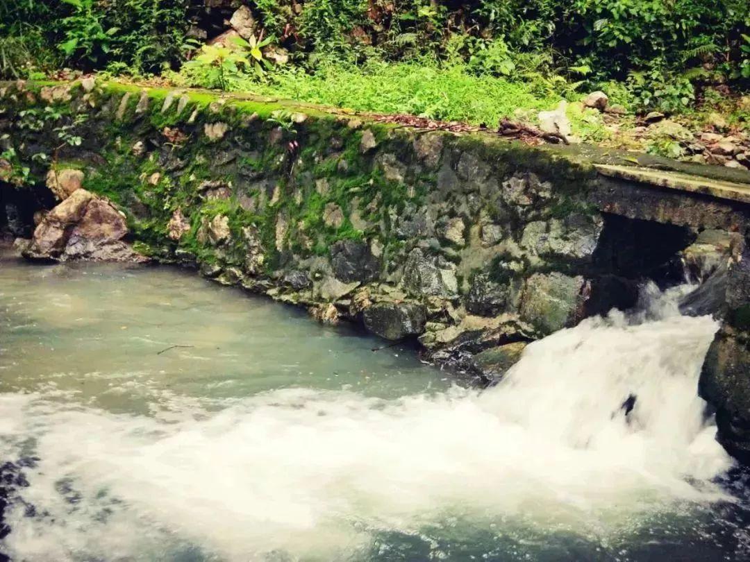 春雨直播app