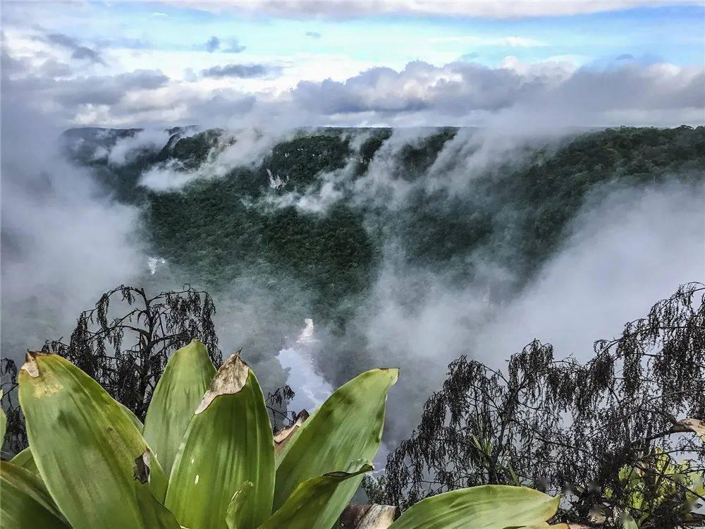 后悔吗?泰山队1500万重金砸来的锋线新援,如今一场没踢就离队了