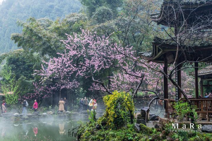 脑洞小老弟无实名认证