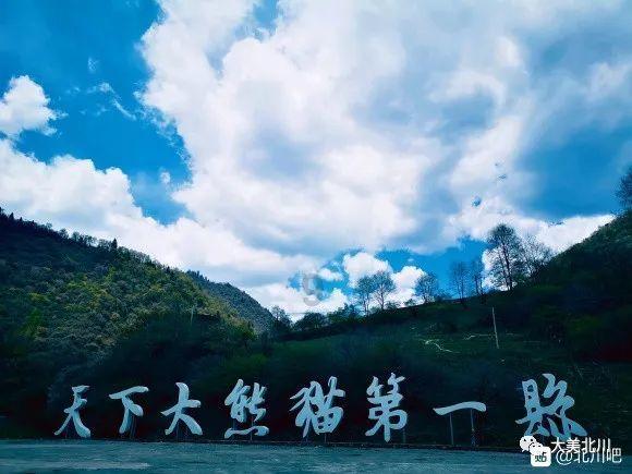 蓝狐视频