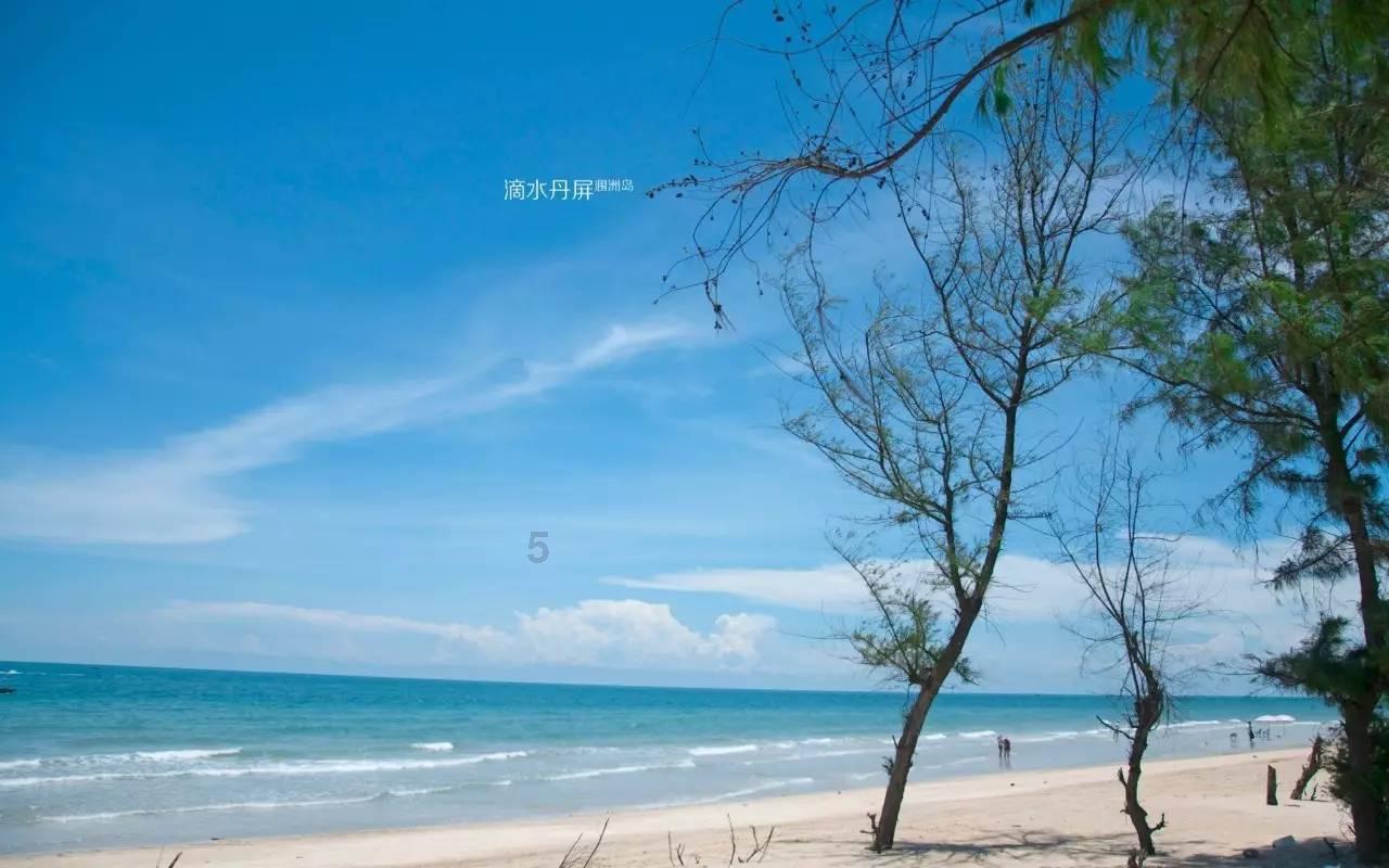 海贼王伟大冒险2