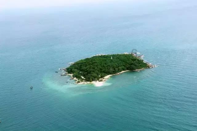 沪江开心词场