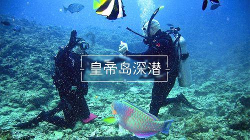 尔滨的盲盒还在继续拆!太阳岛粉雪小镇摊牌了,就是宠粉!