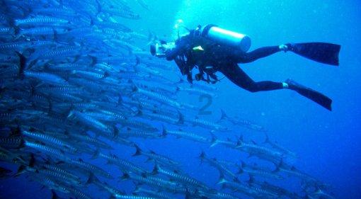 乌鲁木齐春运第四天跨区域人员流动量破1.9亿人次