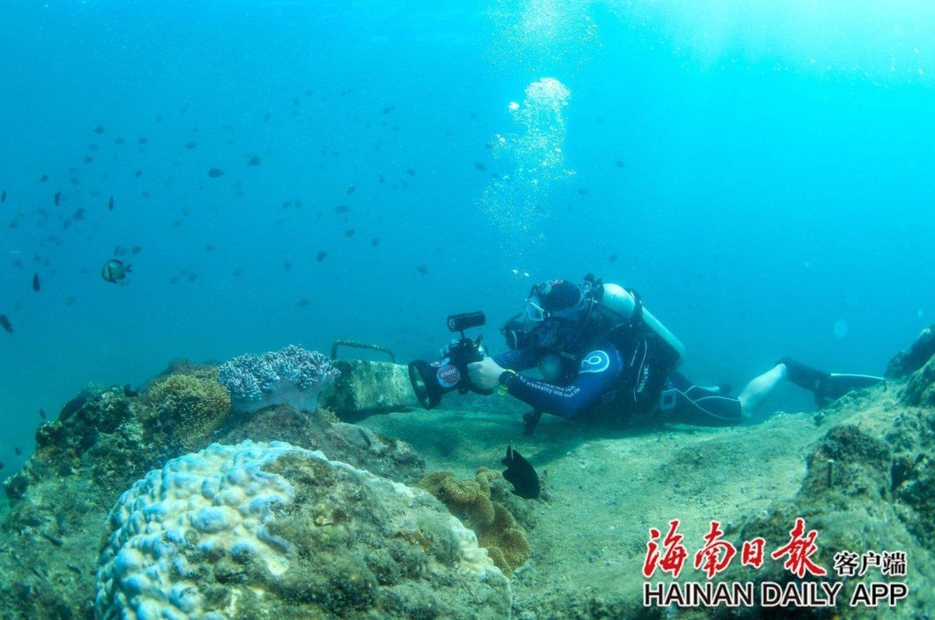 全域建设国家生态文明建设示范区·一把手专访 | 访平凉市交通运输局党组书记、局长李晓彤