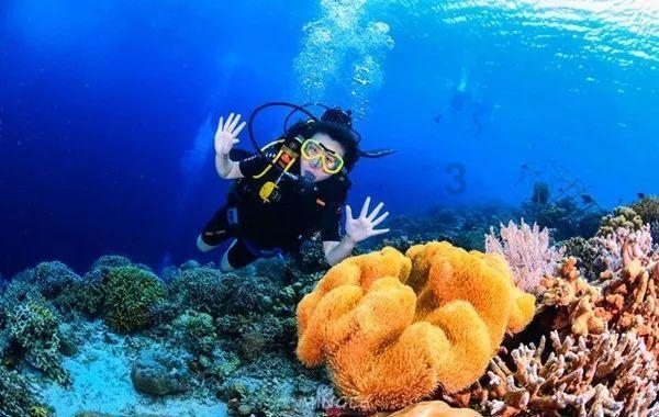 寒假口碑黑马《开心超人之时空营救》唤醒童年回忆 用真诚延续热爱