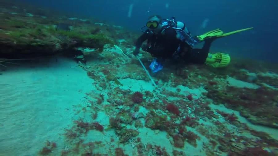 韩泰轮胎赞助的24小时耐力系列赛新赛季在阿布扎比拉开帷幕