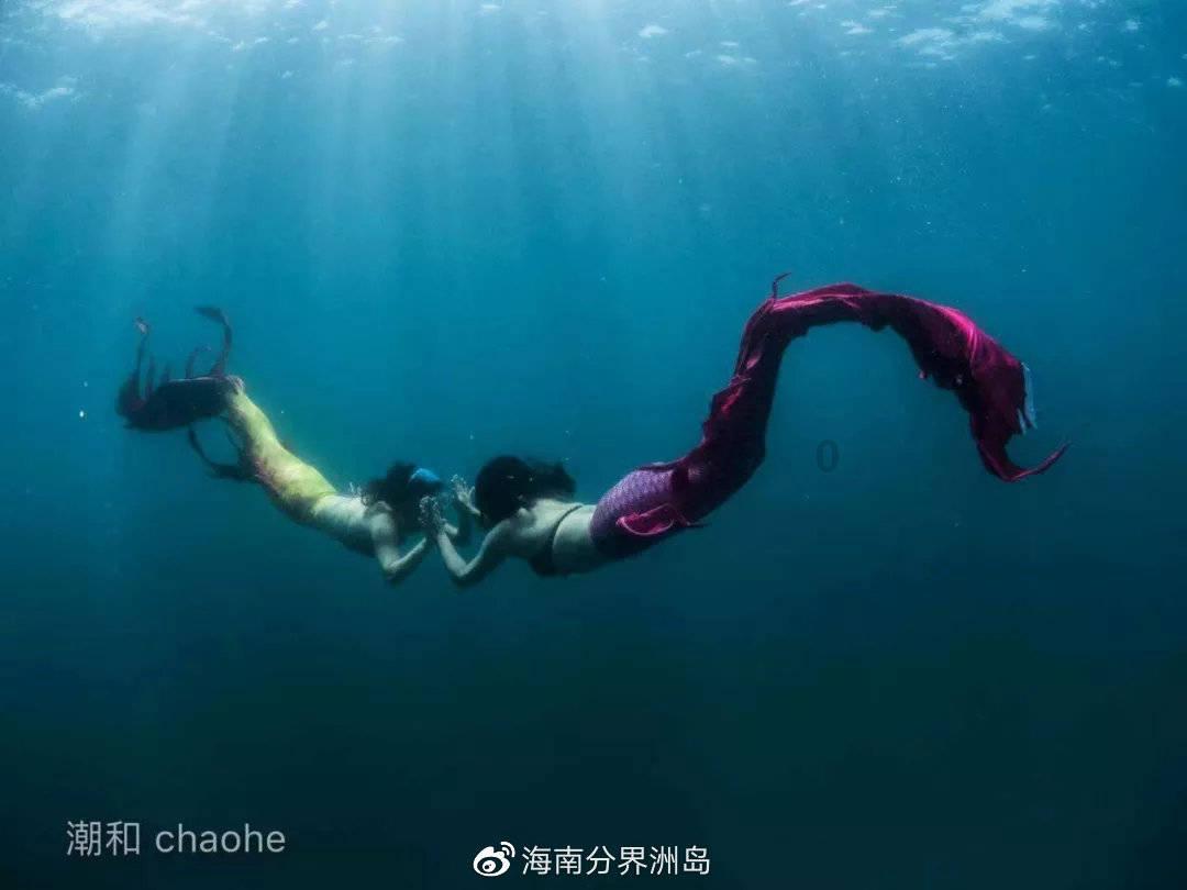 沪江开心词场