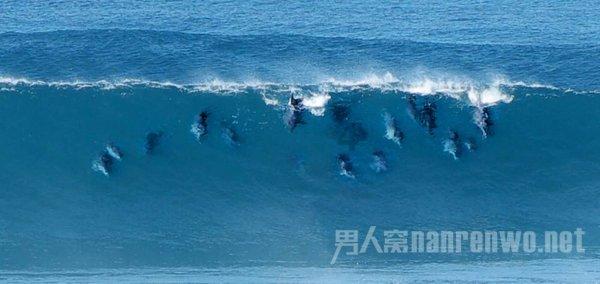 燃烧吧大脑免广告最新版