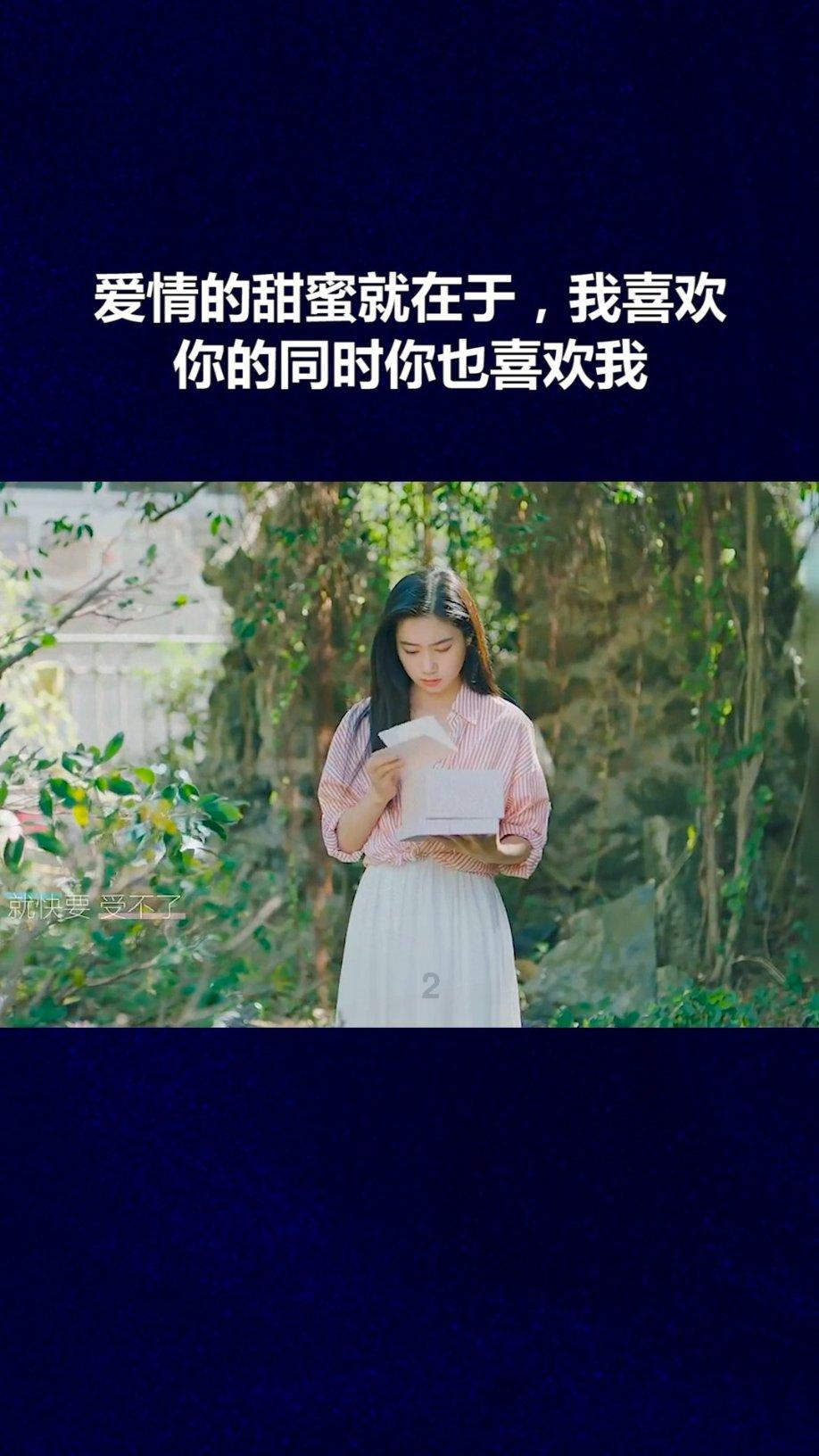 小猫钓鱼开船版最新版下载