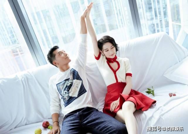 可爱小猫向上跳