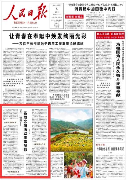 植物大战僵尸11