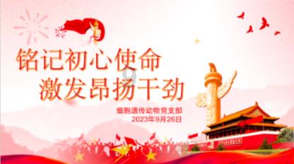 探索中国女排世界排名跌至第二,这是否会影响奥运会成绩?——知识星球平台