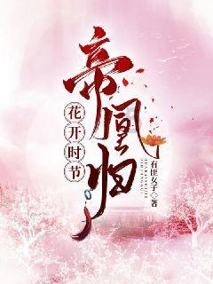 全民剧本大师内置菜单