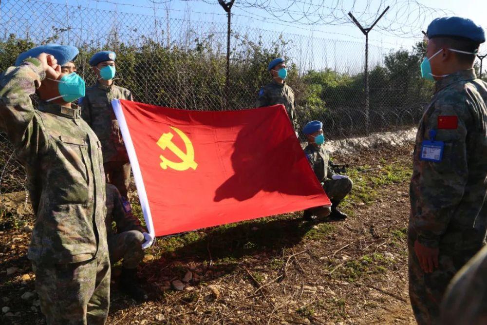 五彩鹦鹉救援
