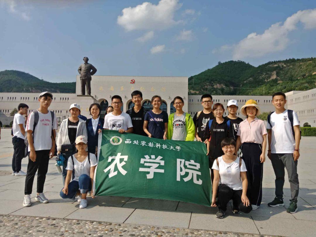 我的英雄学院