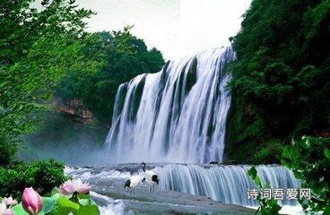 救援小棕兔