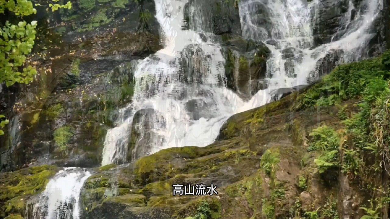 影视工厂