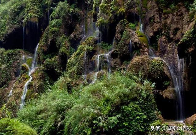 沪江开心词场
