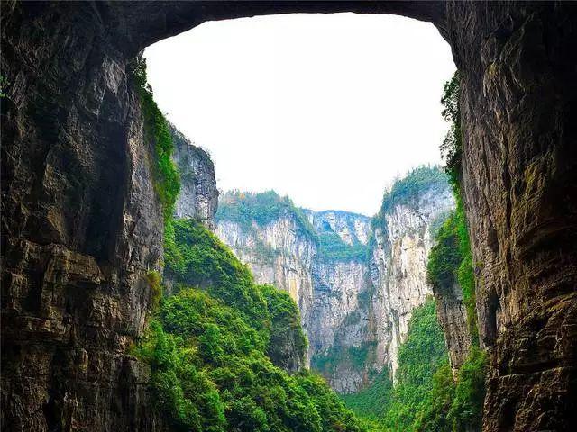 放飞笼中鸟