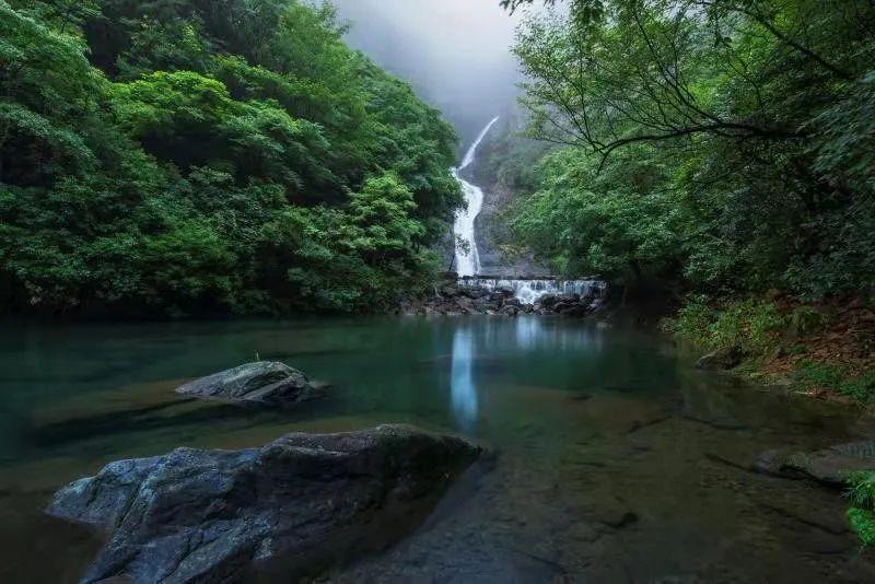 动物帮帮忙保卫家园