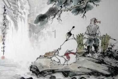 养猫后的生活有哪些改变？